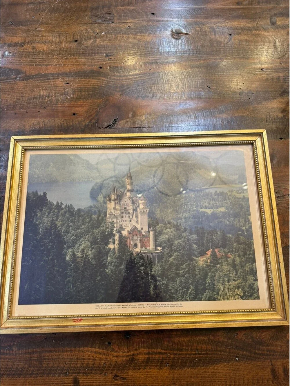 Framed Photograph of Neuschwanstein Castle, Germany